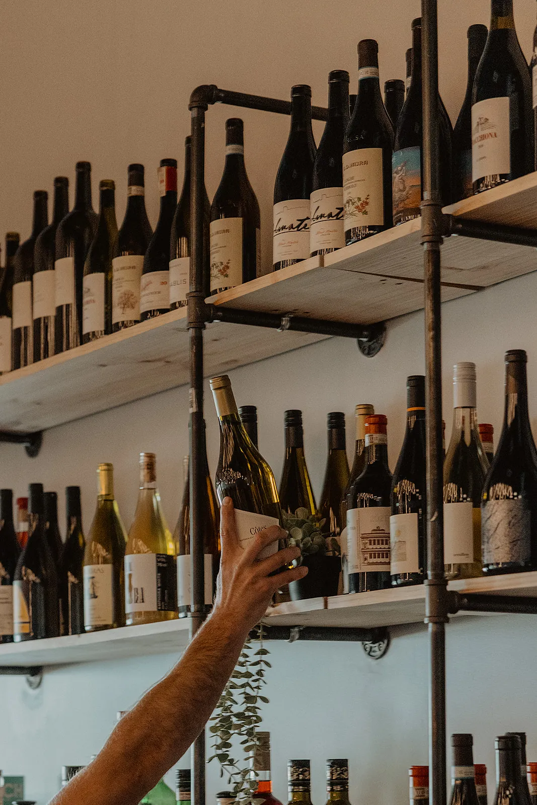 The selection of shelf wines at Wildling Restaurant